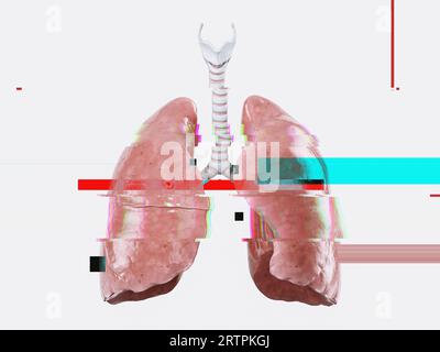 Realistische 3D-Darstellung anatomischer Modelle menschlicher Lungen mit Glitch-Effekt, Versagen oder Krankheitskonzept Stockfoto