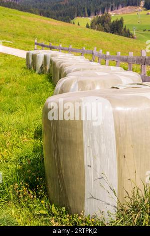 Strohballen in einer Reihe neben dem Zaun in Südtirol gewickelt Stockfoto