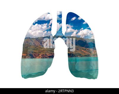 Illustration von Lungen aus Naturlandschaft mit See und Bergen isoliert auf weiß. Konzept der sauberen Lunge Stockfoto