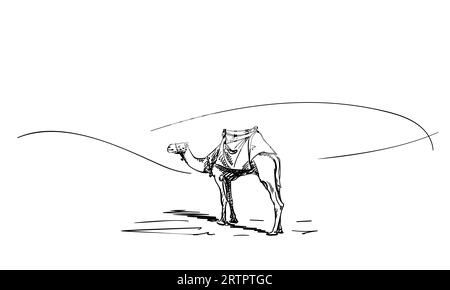 Kamel mit einem Sattel auf einem Buckel, der mitten in einer Wüste steht, von Hand gezeichnete Tierzeichnung, Vektorskizze Stock Vektor