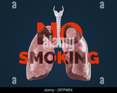 Grafisches Nichtraucherkonzept. Gesunde Lungen mit Rauchverbot-Text auf ihm zeigt beschädigte Lungen. 3D-Abbildung Stockfoto