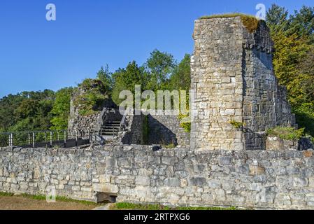 Château de Crèvecœur, Ruine der mittelalterlichen Burg aus dem 11. Jahrhundert in Bouvignes-sur-Meuse bei Dinant, Provinz Namur, Wallonien, Belgien Stockfoto