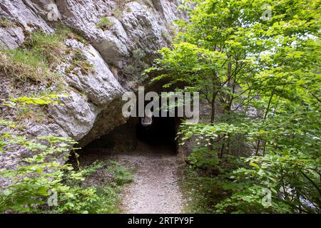 Felsenwand mit Eingang zur Tunnelhöhle im Jura, Wanderweg, Licht am Ende des Tunnels. Grüne Bäume. Gorges de Court, Schweiz Stockfoto