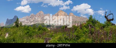Dolomiten in der Nähe des lago di Carezza in Italien, Panoramablick Stockfoto