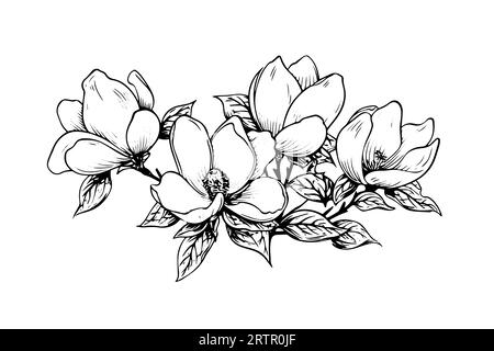 Handgezeichnete Magnolienblütenskizze. Gravurstil Vektorillustration. Stock Vektor