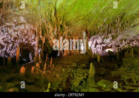 Grotte di Castelcivita, Kampanien, Italien Stockfoto