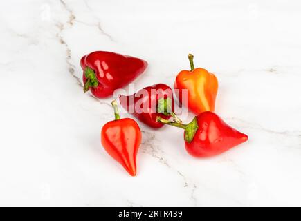 Mehrere Schoten heißen Pfeffers auf hellem Hintergrund. Leerzeichen kopieren. Stockfoto