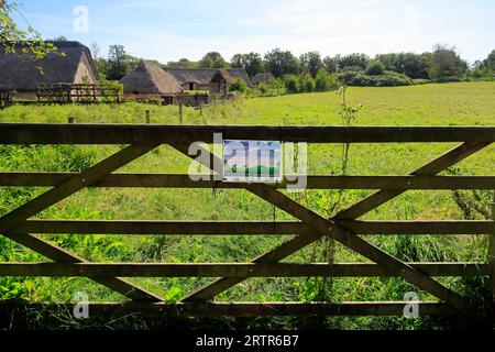 Feld, das für Naturschutzweiden, mittelalterliches Dorf in Cosmeston Lakes and Country Park, South Wales, bestimmt ist. September 2023 Stockfoto