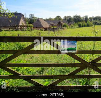 Feld, das für Naturschutzweiden, mittelalterliches Dorf in Cosmeston Lakes and Country Park, South Wales, bestimmt ist. September 2023 Stockfoto