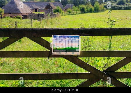 Feld, das für Naturschutzweiden, mittelalterliches Dorf in Cosmeston Lakes and Country Park, South Wales, bestimmt ist. September 2023 Stockfoto