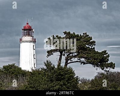 Leuchtturm Dornbusch auf der Insel Hiddensee, Deutschland Stockfoto