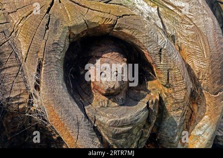 Holzschnitzereien im Cosmeston Lakes and Country Park, South Wales. September 2023 Stockfoto