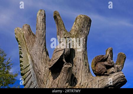 Holzschnitzereien im Cosmeston Lakes and Country Park, South Wales. September 2023 Stockfoto