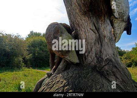 Holzschnitzereien im Cosmeston Lakes and Country Park, South Wales. September 2023 Stockfoto