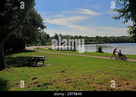 Der Rollstuhlfahrer genießt die Aussicht auf die Cosmeston Lakes und den Country Park in South Wales. September 2023 Stockfoto