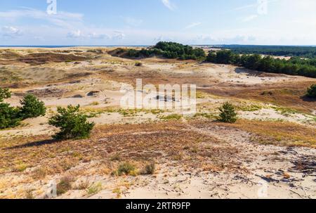 Kurische Nehrung mit sandigen Küstendünen an einem sonnigen Sommertag, Kaliningrad Oblast, Russland Stockfoto