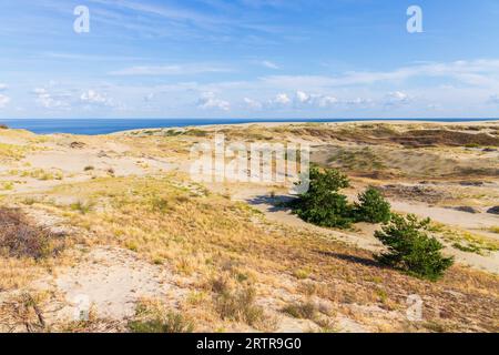 Die Landschaft der Kurischen Nehrung, Sanddünen an der Küste sind unter blauem Himmel an einem sonnigen Tag, Kaliningrad Oblast, Russland Stockfoto