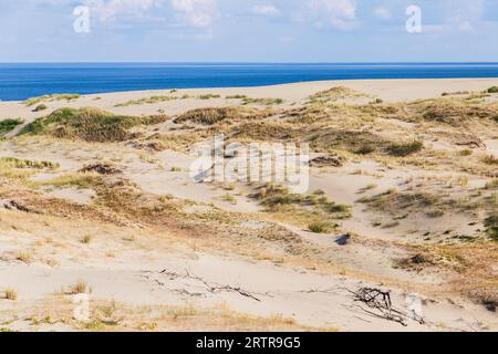 Kurische Nehrung, Sanddünen an der Küste mit Gras. Oblast Kaliningrad, Russland Stockfoto