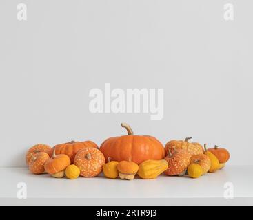 Herbsternte mit verschiedenen Kürbissen und Kürbis auf weißem Hintergrund mit Kopierraum. Herbstliche festliche Deko für Thanksgiving oder Halloween. Org Stockfoto