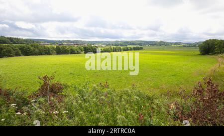 Landschaft auf der Insel Orast in Schweden. Stockfoto