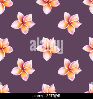 Nahtloses Aquarellmuster mit realistischer tropischer Illustration von Plumerieblumen mit Blättern isoliert auf weißem Hintergrund. Wunderschöne Botanik Stockfoto