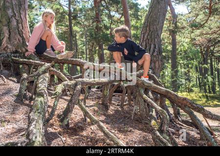 Zwei Kinder im Alter von 7 und 10 Jahren spielen auf Luftwurzeln im Wald in Ystad, Scania, Schweden, Skandinavien Stockfoto