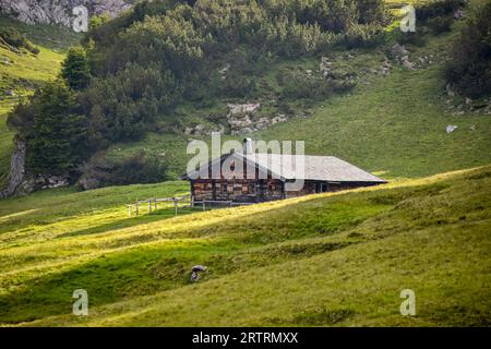 Almhütte auf dem Hochplateau der Reiteralm im Nationalpark Berchtesgaden an der Grenze zwischen Bayern und Österreich Stockfoto