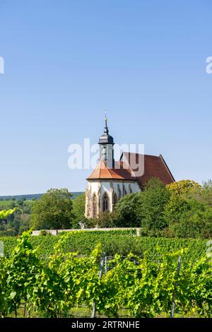 Wallfahrtskirche Maria im Weingarten, bei Volkach am Main, Unterfranken, Mainfranken, Bayern, Deutschland Stockfoto