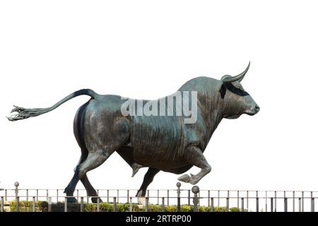 02 09 2023 ronda, malaga, spanien Bronzestatue eines Kampfbullen isoliert auf weißem Hintergrund Stockfoto