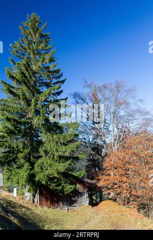 Holzhütte auf dem Berg bei Pfronten im Allgaeu in Bayern Stockfoto