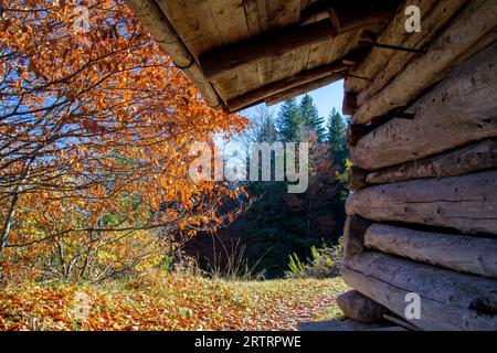 Holzhütte auf dem Berg bei Pfronten im Allgaeu in Bayern Stockfoto