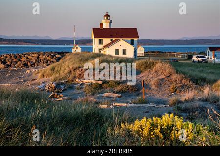 WA23620-00...WASHINGTON - Sonnenuntergang am Point Wilson Lighthouse und gelbe Lupine im Fort Worden Historic State Park. Stockfoto