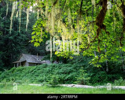 WA23650-00...WASHINGTON - Elkhorn Ranger Station im Elwha River Valley. Stockfoto