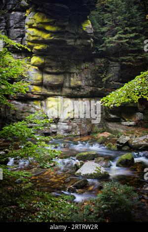 Szklarka-Bach im Herbstwald, Karkonoski-Nationalpark, Karkonosze-Gebirge, Polen Stockfoto