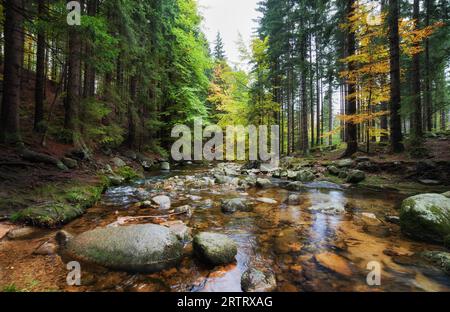 Bergbach im Herbst Landschaft der Berge, Nationalpark Riesengebirge, Polen Stockfoto