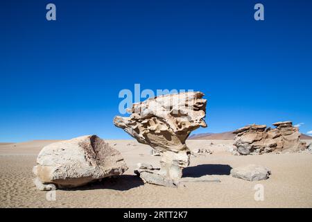 Berühmte Steinformation Arbol de Piedra in Bolivien altiplano Stockfoto