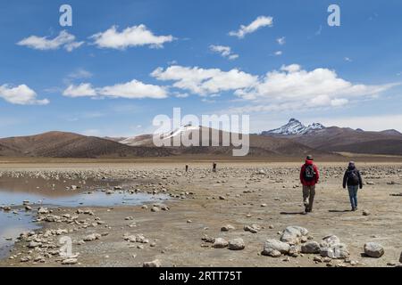 Sajama-Nationalpark, Bolivien, 27. Oktober 2015: Touristen wandern im Sajama-Nationalpark Stockfoto