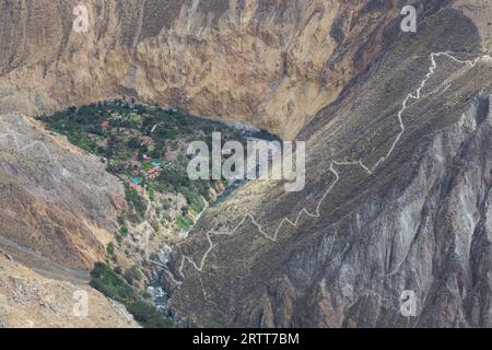 Sangalle, Peru, 17. Oktober 2015: Blick auf die Oase Sangalle im Colca Canyon Stockfoto