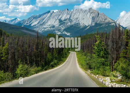 Icefields Parkway Highway zwischen Banff und Jasper National Park, Alberta, Kanada. Stockfoto