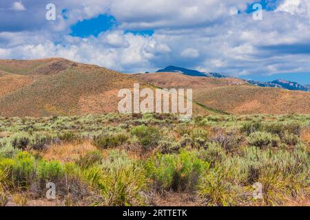 Salbei und Gras Felder auf dem Snake River in Idaho. Das Land ist robust, remote, und rauen sowohl im Winter als auch im Sommer. Stockfoto