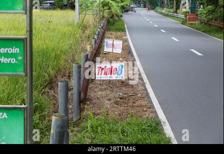 Ad-Zeichen für Glyphosat-Herbizid Triple 8 480SL (Tag Chem) in den nahe gelegenen Reisfeldern, klare Abgrenzung der Wirksamkeit von Unkrautvernichtern, Philippinen Stockfoto