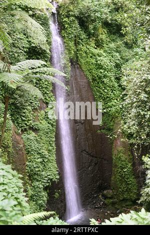 Blick auf einen Wasserfall am Fuße des Mount Salak in Bogor, West Java, Indonesien. Wissenschaftler können den Klang und das Aussehen eines Wasserfalls nutzen, um Veränderungen in seinem Fluss zu verfolgen, während menschliche Eingriffe und der Klimawandel den Wasserspiegel beeinflussen, so ein artikel aus dem Jahr 2021, der von der American Geophysical Union veröffentlicht wurde und über ScienceDaily zugänglich ist. Das Wasser der Wasserfälle ist wertvoll für Wasserkraft, Bewässerung und zur Unterstützung von Flusslebensräumen. "Das Aussehen des Wasserfalls und die Akustik sind außerdem wichtige Aspekte für Erholung und Tourismus", schrieb ich Schalko und R. M. Boes in ihrer Arbeit, die als Referenz diente,... Stockfoto