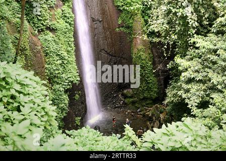 Blick auf einen Wasserfall am Fuße des Mount Salak in Bogor, West Java, Indonesien. Wissenschaftler können den Klang und das Aussehen eines Wasserfalls nutzen, um Veränderungen in seinem Fluss zu verfolgen, während menschliche Eingriffe und der Klimawandel den Wasserspiegel beeinflussen, so ein artikel aus dem Jahr 2021, der von der American Geophysical Union veröffentlicht wurde und über ScienceDaily zugänglich ist. Das Wasser der Wasserfälle ist wertvoll für Wasserkraft, Bewässerung und zur Unterstützung von Flusslebensräumen. "Das Aussehen des Wasserfalls und die Akustik sind außerdem wichtige Aspekte für Erholung und Tourismus", schrieb ich Schalko und R. M. Boes in ihrer Arbeit, die als Referenz diente,... Stockfoto