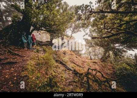 Blick auf eine Familie, die unter gruseligen, bewachsenen Lorbeerbäumen im Fanal-Wald auf Madeira, Portugal, steht, eine Szene wie aus einem gruseligen Horrorfilm Stockfoto