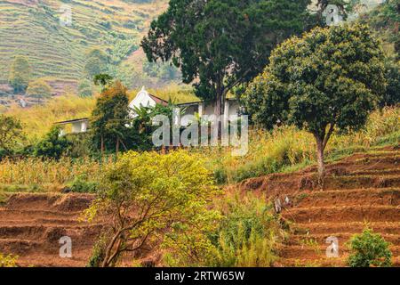 Blick auf Morningside - eine verlassene deutsche historische Siedlung im Uluguru-Gebirge, Morogoro Town, Tansania Stockfoto