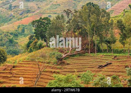 Blick auf Morningside - eine verlassene deutsche historische Siedlung im Uluguru-Gebirge, Morogoro Town, Tansania Stockfoto
