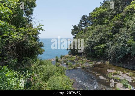 Von einem Gartenpfad auf Jeju Island, wo ein kleiner Bach zwischen einer Öffnung in den Sträuchern fließt, mit Blick auf das Meer. Stockfoto