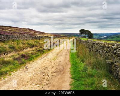 Der Nidderdale Way in der Moor Lane zwischen Scar House und Middlesmoor Nidderdale AONB North Yorkshire England Stockfoto