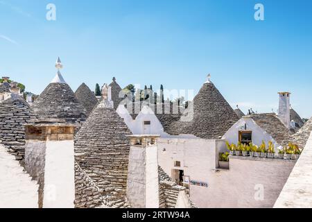 Malerischer Blick auf weiße Trulli-Hütten mit konischen Dächern in Alberobello in Apulien in Italien Stockfoto