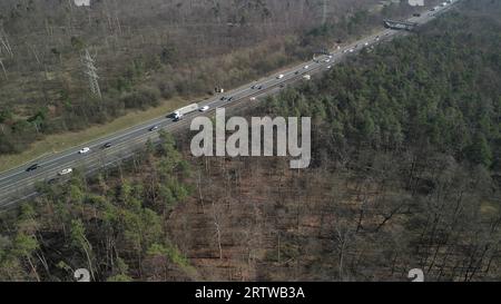 Schwerverkehr auf einer Schnellstraße mit hohen CO2-Emissionen bei erkrankten Bäumen im Waldsterben in Deutschland Stockfoto